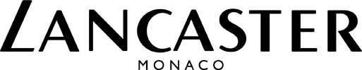 Brand Story Logo