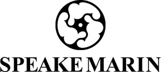 Brand Story Logo